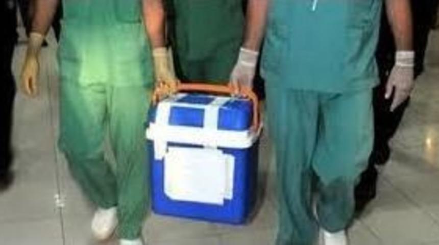 Hayatını Kaybeden Küçük Çocuk Birçok Kişiye Can Verdi