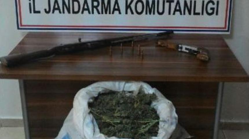 Tarlaya Uyuşturucu Baskını