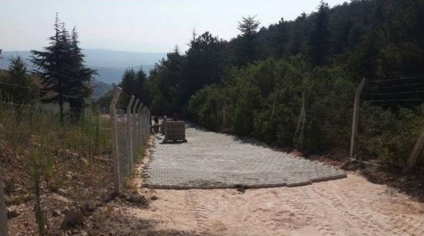 Bilecik Belediyesi Birimlerinin Faaliyetleri