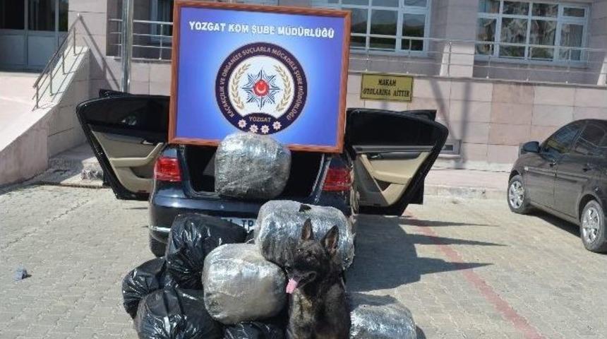 Yozgat&rsquo;ta 127 Kilo Esrar Ele Ge&ccedil;irildi