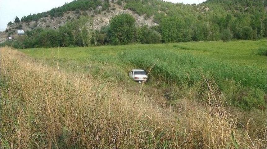 Otomobil &Ccedil;eltik Tarlasına U&ccedil;tu: 3 Yaralı