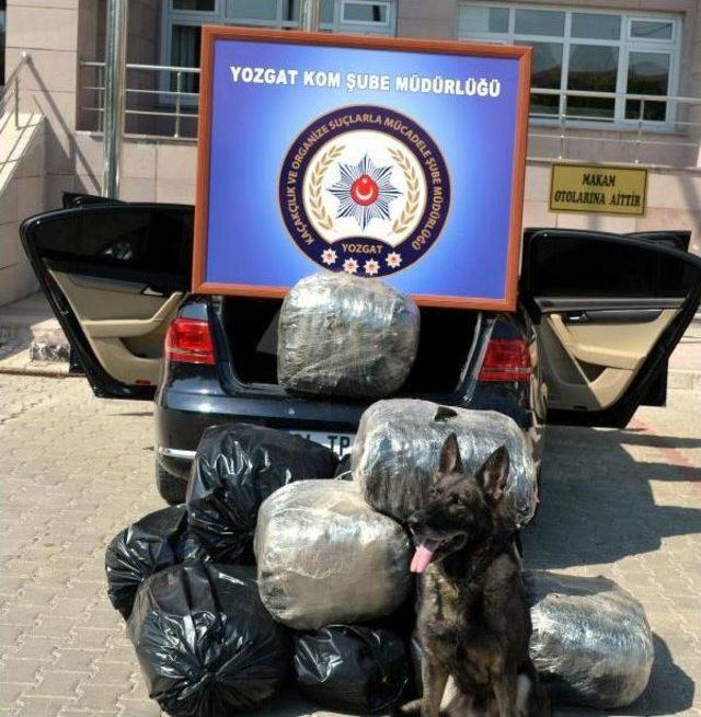 Yozgat'ta Durdurulan 3 Otomobilde 127 Kilo Esrar Ele Geçirildi