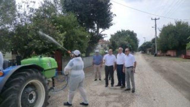 Amerikan Beyaz Kelebeği İle Mücadele Sürüyor