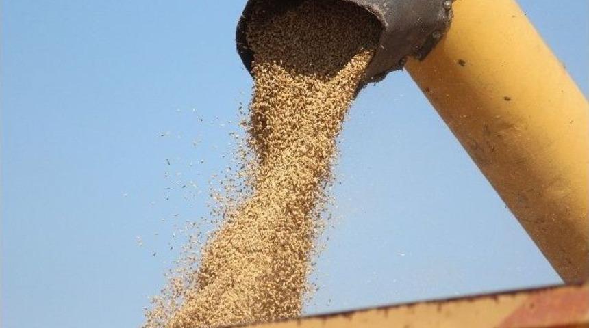 Beyşehir Ve Seydişehir&rsquo;de 15 Bin Ton Hububat Alındı