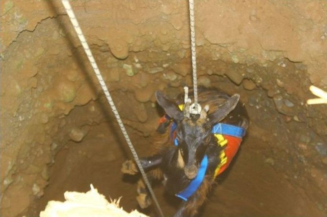 Aydın&rsquo;da İtfaiye Ve Afad Ekipleri İnat&ccedil;ı Ke&ccedil;i İ&ccedil;in Seferber Oldu