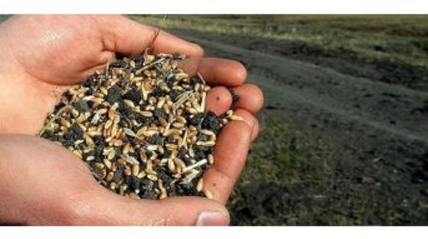 &Ccedil;ift&ccedil;ilere Tohum Desteği Uyarısı