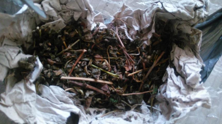 Tokat'ta uyuşturucu ticaretine 3 tutuklama