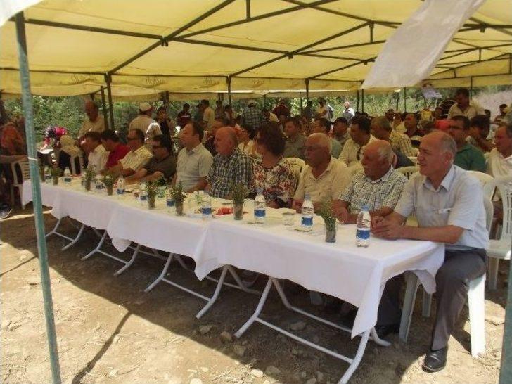 Manavgat’ta Tarla Günü Düzenlendi G1