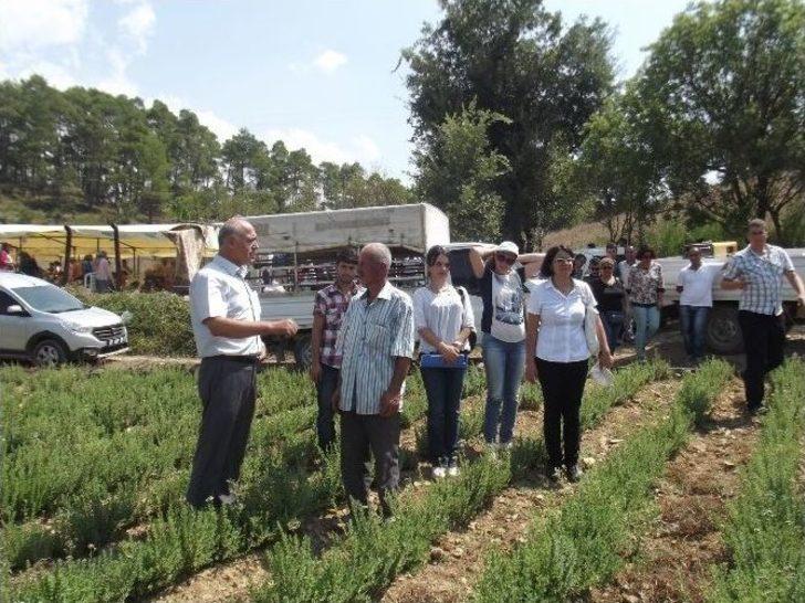 Manavgat’ta Tarla Günü Düzenlendi G2