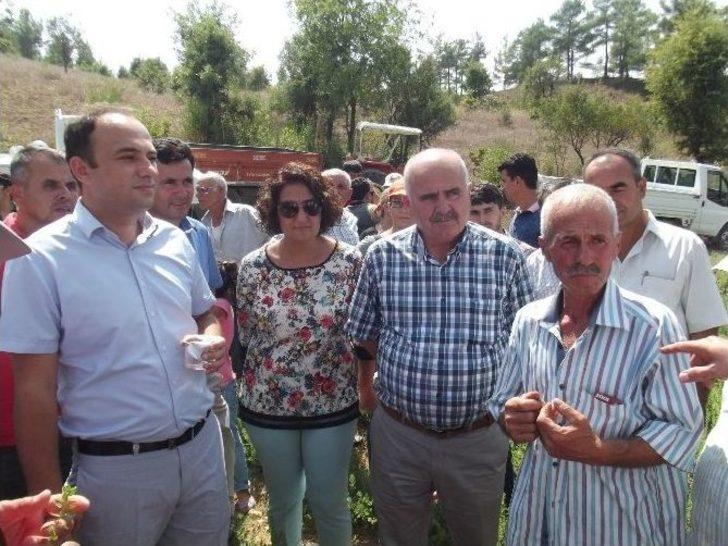 Manavgat’ta Tarla Günü Düzenlendi G3