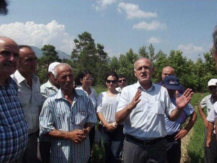 Manavgat’ta Tarla Günü Düzenlendi G4