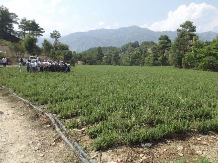 Manavgat’ta Tarla Günü Düzenlendi G5