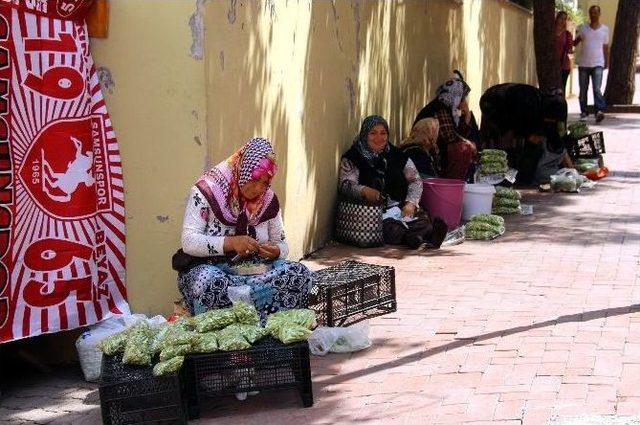 Bamya Satarak Kazandığı Para İle Hacca Gitti