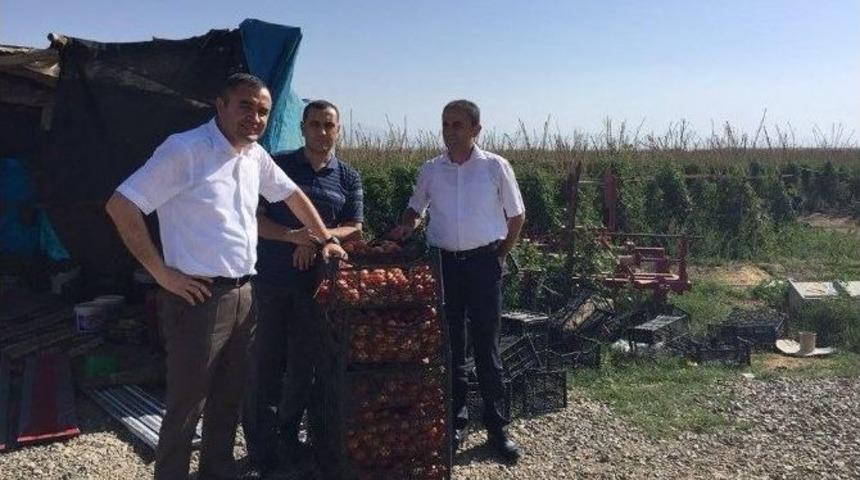 Kaymakam Sarı, Tuşba Sebze Ve Meyvecilikte Marka Olma Y&ouml;n&uuml;nde İlerliyor