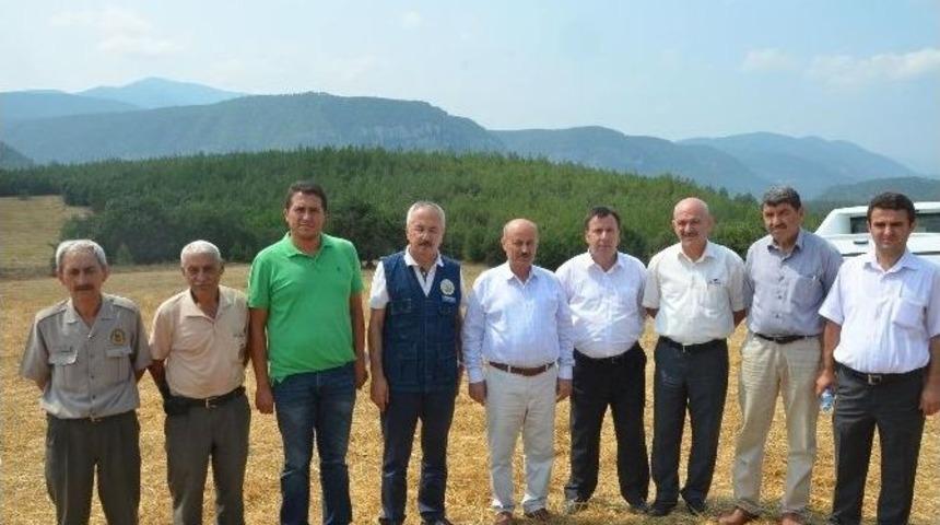 Milletvekili Kahveci, Orman Yangını &Ccedil;ıkan B&ouml;lgede İncelemelerde Bulundu