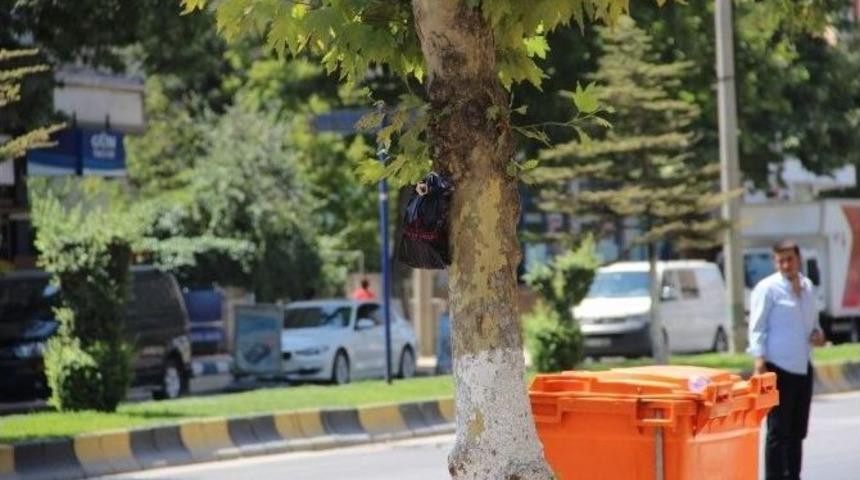 Ekmek Kırıntıları Bomba Paniğine Neden Oldu