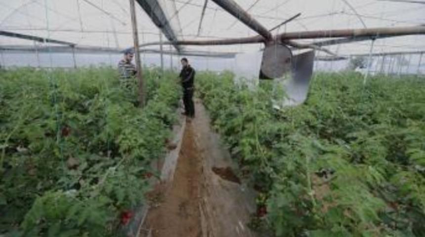 Ordu&rsquo;da &lsquo;iyi Tarım&rsquo; Yapan &Uuml;retici Sayısı Arttı