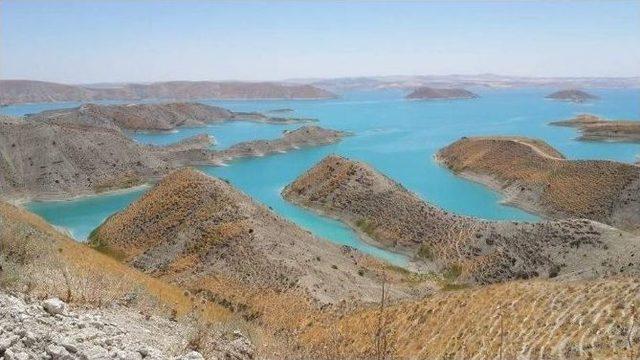 Atatürk Baraj Sahili Boydan Boya Meyve Bahçesi Oluyor