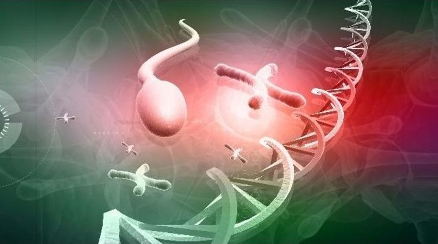 Erkek Kısırlığında &Ccedil;ığır A&ccedil;an Y&ouml;ntem T&uuml;rkiye&rsquo;de