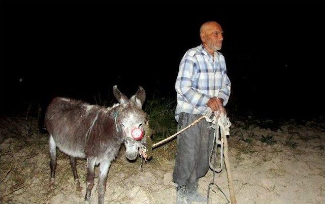 Gaziantep&rsquo;te Fıstık Hırsızlığına İlgin&ccedil; &Ccedil;&ouml;z&uuml;m 2