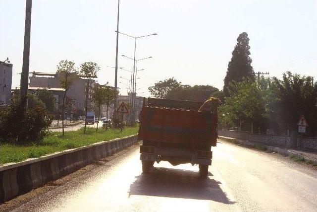 Sevimli Köpeğin Kamyonla Yolculuğu 1