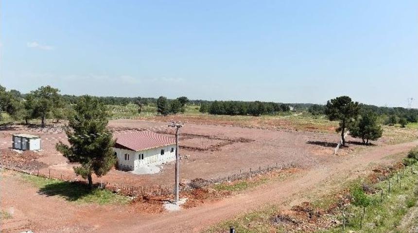 Muratpaşa Belediyesi Asfalt &Uuml;retim Tesisi Kuruyor