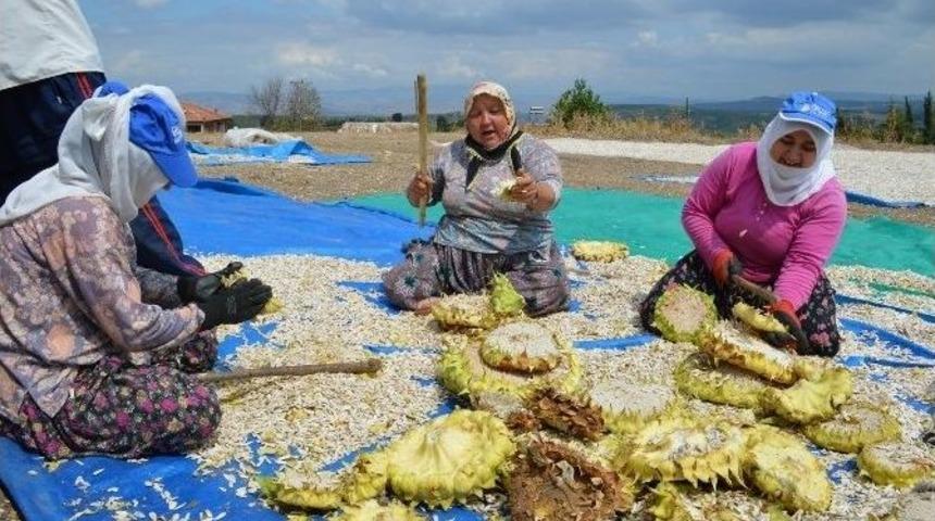 D&ouml;ve D&ouml;ve &Ccedil;erez Yapıyorlar