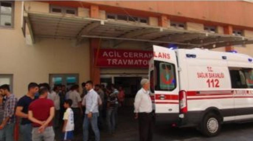 İncir Toplamak İsterken Ağa&ccedil;tan D&uuml;şt&uuml;