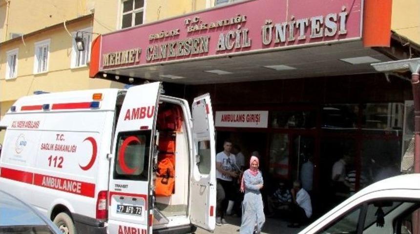 Gaziantep&rsquo;te Fıstık Hırsızları Bir Kişiyi Vurarak &Ouml;ld&uuml;rd&uuml;
