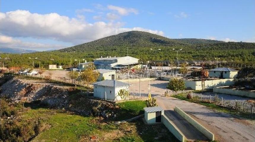 Mezbahalarda Hizmet Ve Hijyen Kalitesi Y&uuml;kseliyor