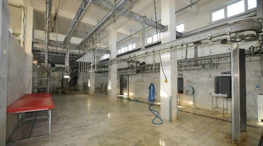 Muğla B&uuml;y&uuml;kşehir, Kurban Bayramına Hazır