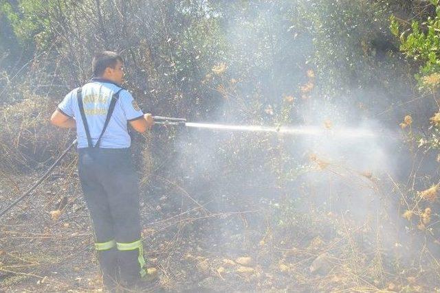 Atık Camlar Yangına Neden Oldu 1