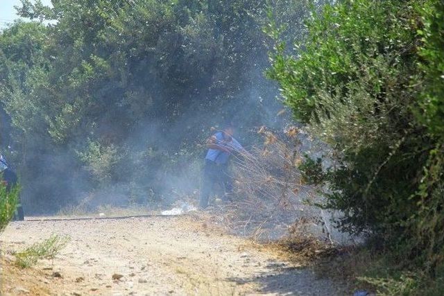 Atık Camlar Yangına Neden Oldu 2