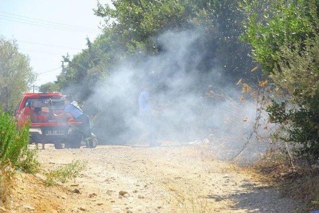 Atık Camlar Yangına Neden Oldu 3