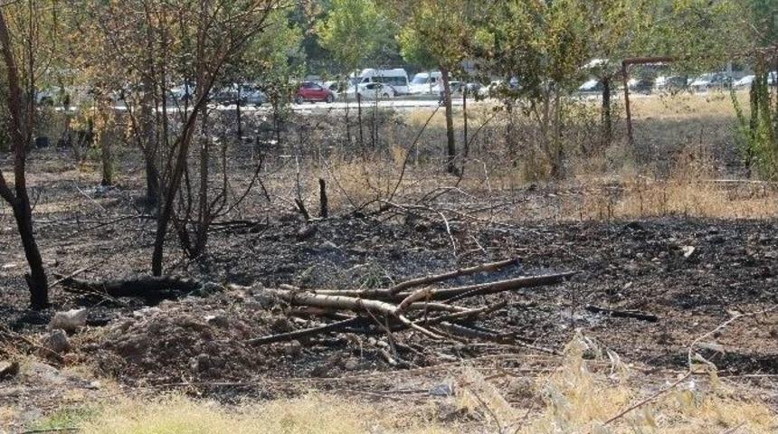 Diyarbakır&rsquo;da Korkutan Yangın