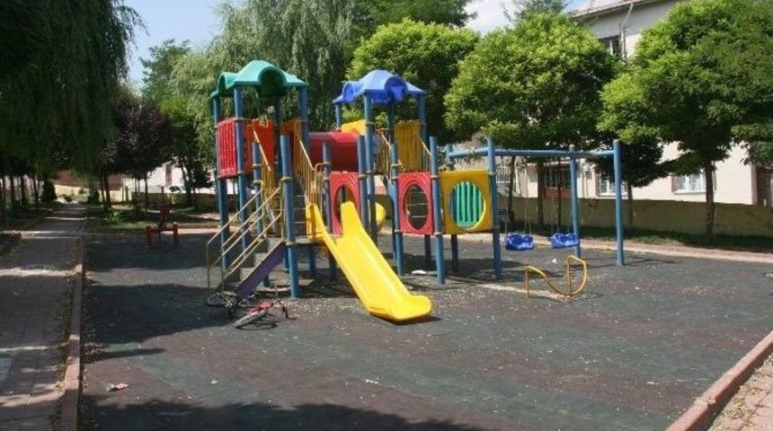 Şehir Magandaları Yine İş Başındaydı