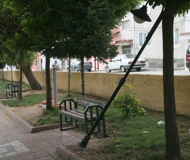 Şehir Magandaları Yine İş Başındaydı 1