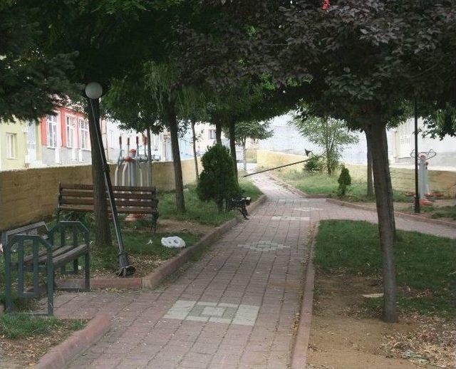 Şehir Magandaları Yine İş Başındaydı 2