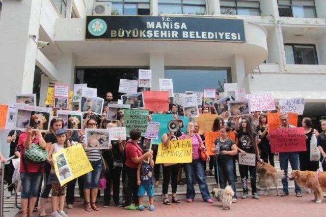 Manisa'da Hayvanseverlerden Eylem