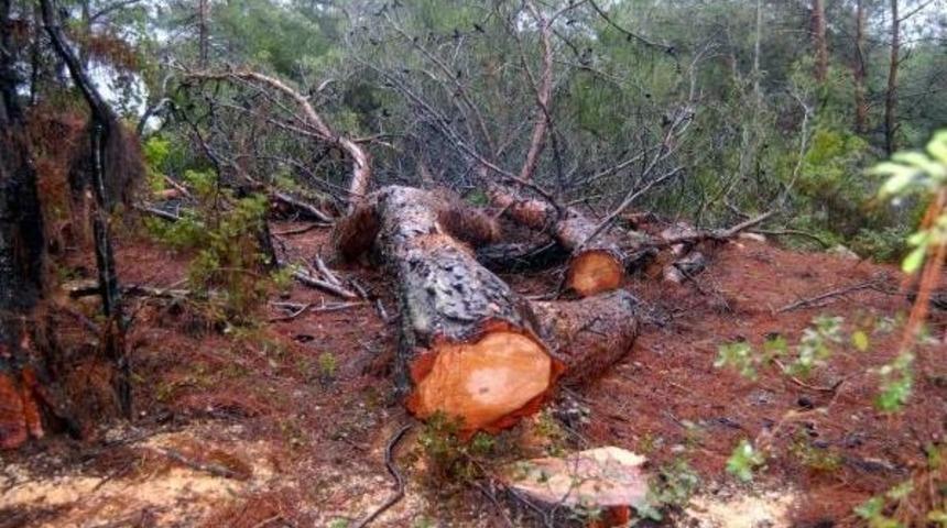 Controversial Wind Power Plant Project Halted In Aegean Province After Villagers&rsquo; Protests