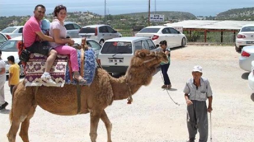 Locals And Foreign Tourists Enjoy Donkey, Camel Riding Tours In Southeastern Province