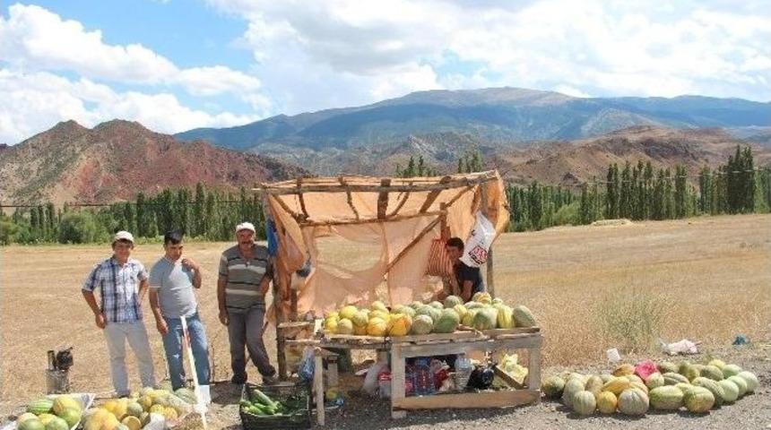 Dutlu Kavunu Pazarda