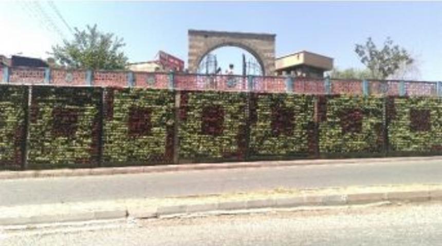 Dikey Bah&ccedil;e Vatandaşların İlgi Odağı Oldu