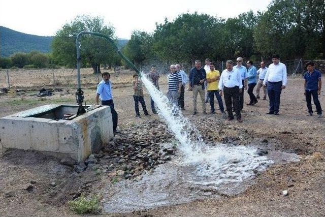 Karaahmetli Mahallesi’nde Organik Tarım Havzası Kurulacak