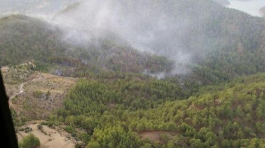 Yıldırım 6 Hektar Ormanı K&uuml;le &Ccedil;evirdi