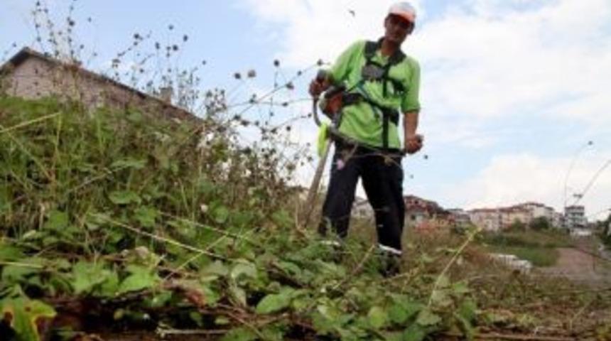 Başiskele&rsquo;de Altı Ayda 3 Bin 200 Dekar Alanın &Ccedil;imleri Bi&ccedil;ildi