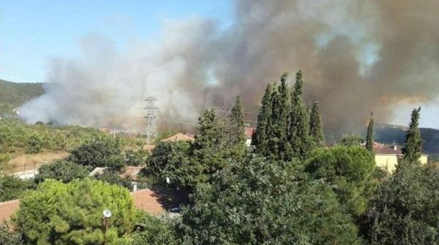 Tuzla'da Askeri Alan I&ccedil;indeki Ormanlık Alanda Yangın (1)