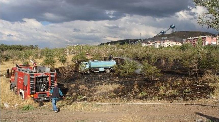 İtfaiye&rsquo;nin Erken M&uuml;dahalesi Ağa&ccedil;ları Yanmaktan Kurtardı