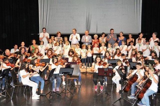 Zeytin Dalı Ayvalıktan Kadıköy’e Uzandı