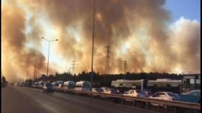 Tuzla'da Askeri B&ouml;lgedeki Ormanlık Alan Alev Alev